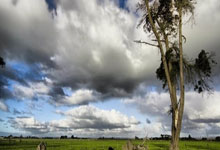 乐鱼app-冰与火之歌，萨克拉门托的绝杀回响—记国王与热火史诗级抢七之战