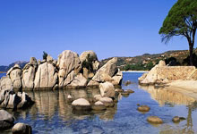 乐鱼体育app-楚阿梅尼关键战不手软，塞维利亚封锁巴萨—战术纪律与心理韧性的双重胜利